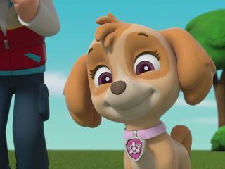 Paw Patrol: Helfer auf vier Pfoten