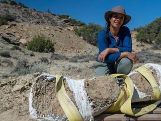 Geheimnisse der Jurassic-Saurier