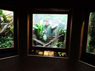 Bronx Zoo - Tierpark der Superlative