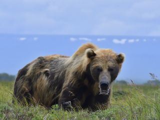 Expedition with Steve Backshall
