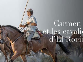Die wilden Pferde der Doñana