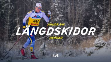 Laengdskidor: Junior-VM