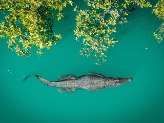 Australiens wilder Westen