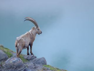 Naturerbe Österreich - Die Nationalparks