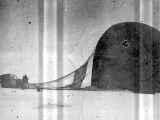 Gestrandet im ewigen Eis Gestrandet im ewigen Eis