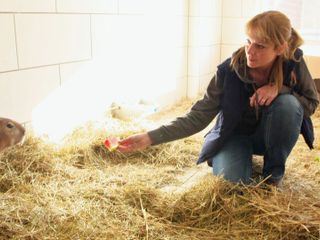 Mega-Markt der Tiere