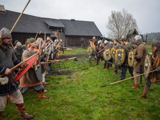 Kriegerinnen der Wikinger