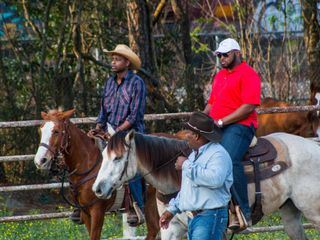 Die Tieraerzte von Houston