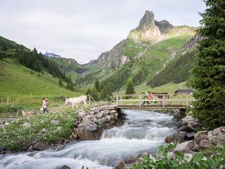 SRF bi de Luet - zAlp