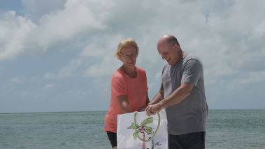 Island Life - Traumhaus gesucht
