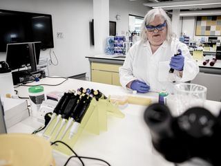 Forensik: Dem Moerder auf der Spur