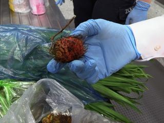 Mittendrin - Flughafen Frankfurt