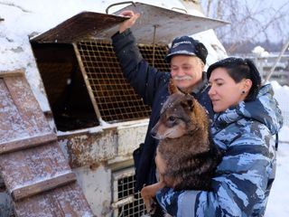 Moskaus beruehmte Sprengstoffhunde