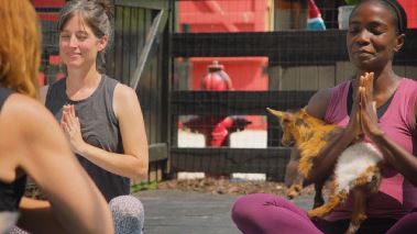 Homegrown - Aus Liebe zum Garten