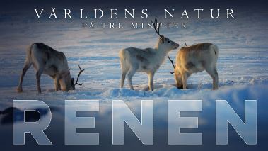 Vaerldens natur: På tre minuter