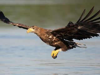 Europas verborgene Naturwunder