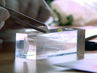 Anwaelte der Toten - Rechtsmediziner decken auf