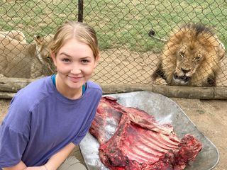 Nina und die wilden Tiere