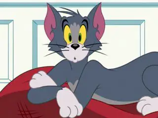 Die Tom und Jerry Show