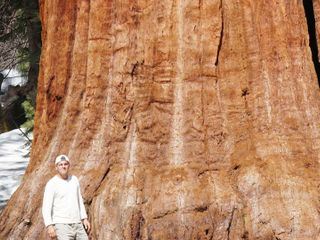 Wild Frank - Abenteuer in Kalifornien