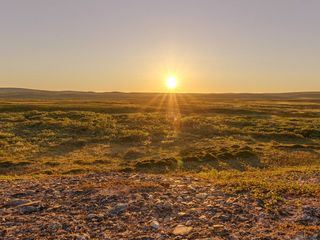 Polartag - Skandinaviens Wildnis im Sommer