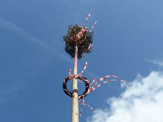 Maibaum Hunters