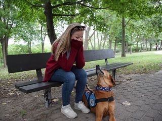 Die Superkraefte der Tiere