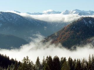 Der Blaeuling und die neue Wildnis - Das Mangfallgebirge