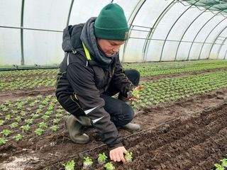 Frost, Schnee und knackiges Gemuese