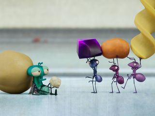 Bienvenue chez les mouches