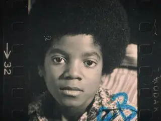 Michael Jackson - Der Jahrhundert-Prozess