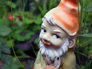 Der Schrebergarten