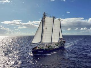 Frachtsegler erobern die Weltmeere