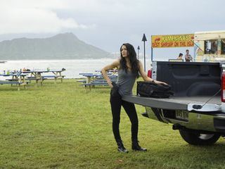 Hawaii Five-0