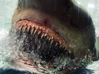 Fear Below Fear Below