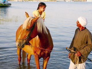 An den Ufern des Nil