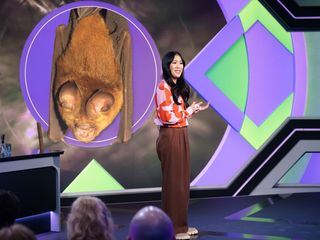MAITHINK X - Die Show