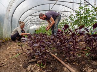 Der Geschmack Europas