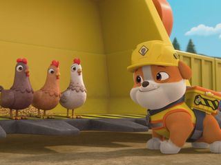 Rubble & Crew