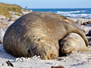 Deadly Islands - Gefaehrliches Paradies
