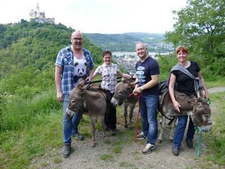 Verrueckt nach Fluss