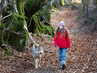 Mystère: Victorias geheimnisvoller Freund