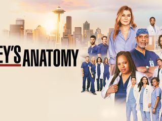Greys Anatomy
