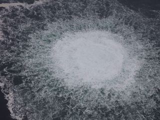 Protokoll einer Katastrophe