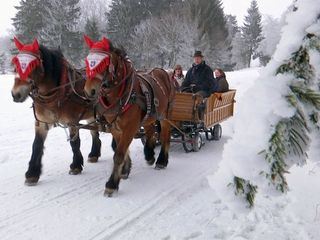 Lust auf Schnee