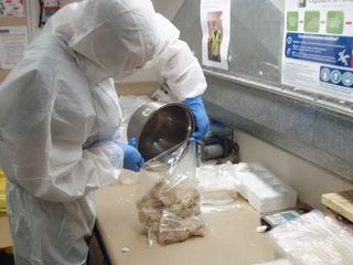 Border Patrol New Zealand