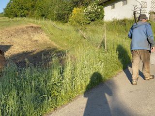 Besuch im Bubenland