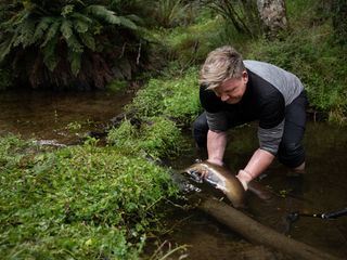 Gordon Ramsay: Kulinarische Abenteuer