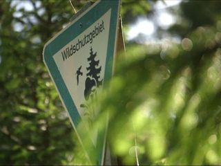 Waelder in Bayern - Faszination eines Lebensraums