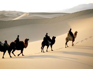 Die Magie der Mongolei